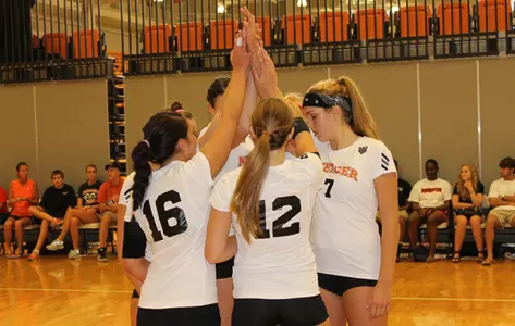 Volleyball Bests Canisuis, Charleston Southern Image