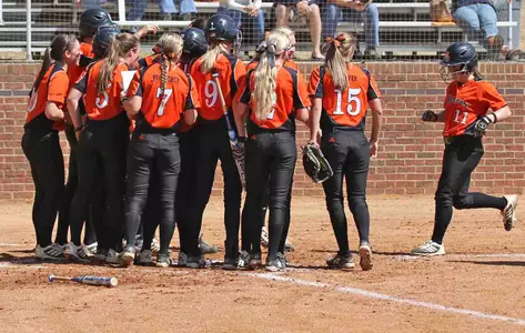 Bears Take Series With 12-4 Win Over Stetson On Sunday Image