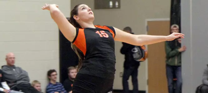Volleyball Takes Winning Streak on the Road Image