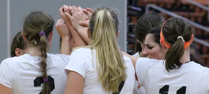 Volleyball Captures Team Title at CofC Invite Image
