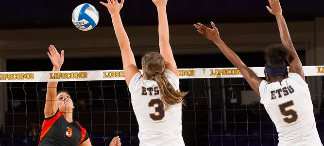 Volleyball Splits on Friday at Troy Invitational Image