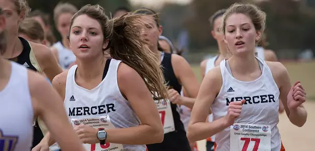 Mercer Falls to No. 17 Auburn 7-3 on Day One of the Tiger Invitational Image
