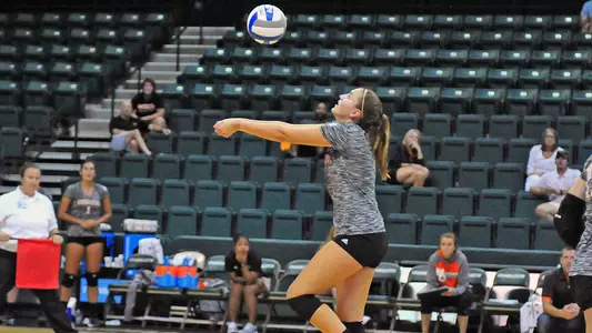 Ellie James vs. USF