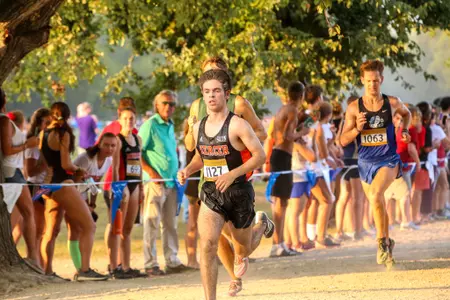 Vladi Zander-Velloso