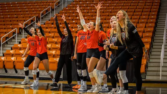Volleyball bench cheering