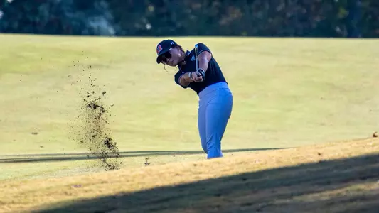 Eujin Pyon iron divot