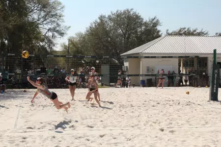 Lexi Polychrones dive
