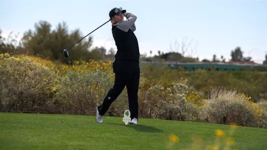 Mikayla Dubnik swinging