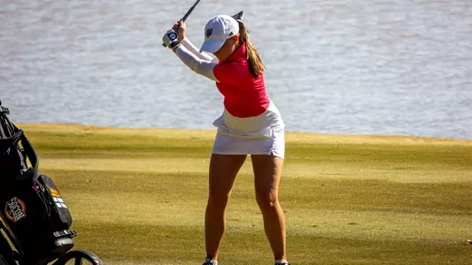 Camilla swinging iron