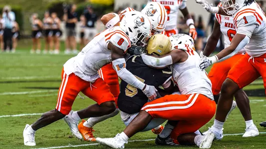 Defense at Wofford 092824