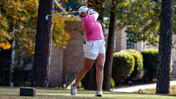 Katie Scheck Mercer Inv.