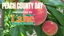 Peach County Day