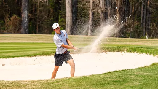 Phillips Swift at Linger Longer