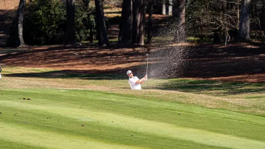 Albin Ekvall at Linger Longer