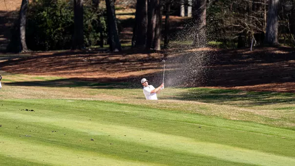 Albin Ekvall at Linger Longer