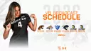 2026 VB Broadcast Website