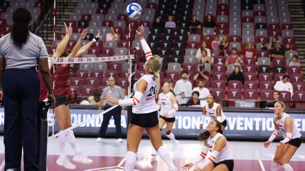 Lara Matta Hit Recap vs. Troy