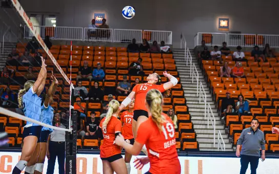 Brooklyn Palmer kill, Preview @ ETSU