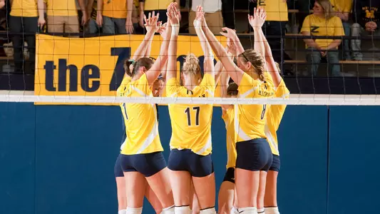 Volleyball Group