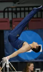 Mel Anton Santander