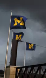 Play will resume Saturday (May 22) at 11 a.m.