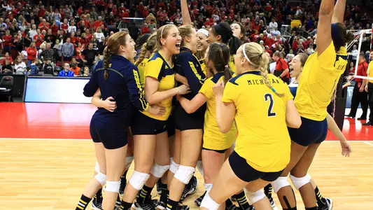 Volleyball Celebration