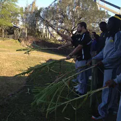 Feeding the Giraffes