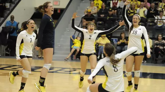 Volleyball Celebration