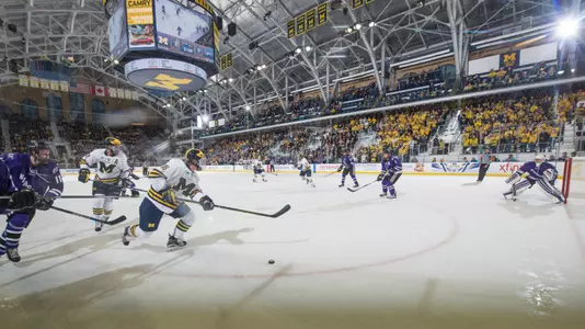 Michigan Ice Hockey