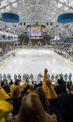 Michigan Ice Hockey