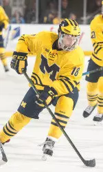 Michigan Ice Hockey