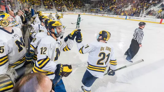 Michigan Ice Hockey