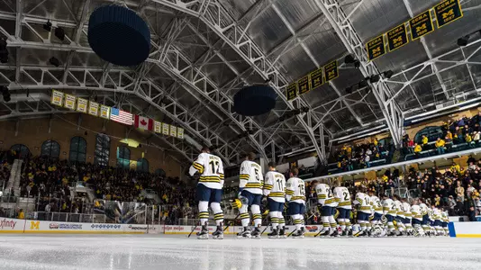 Michigan Ice Hockey