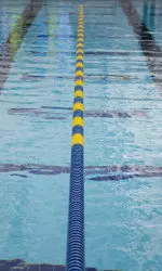 Michigan Men's Swimming & Diving