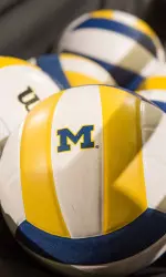 Michigan Volleyball