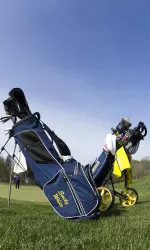 Michigan Women's Golf