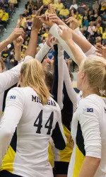 Michigan Volleyball