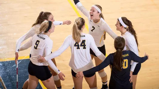 Volleyball Celebration