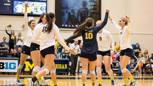 Volleyball Celebration