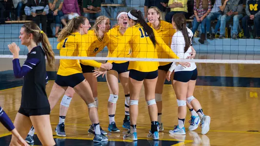 Volleyball Celebration