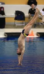 Men's Swimming & Diving