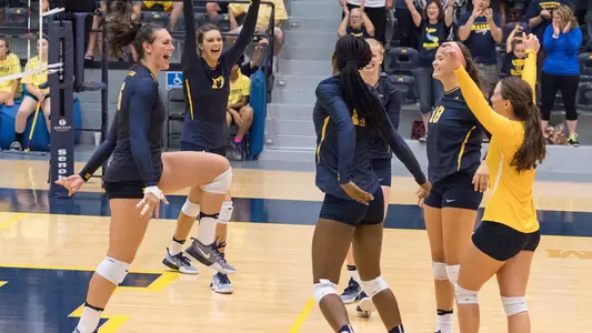 Volleyball Celebration