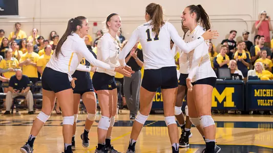 Volleyball Celebration