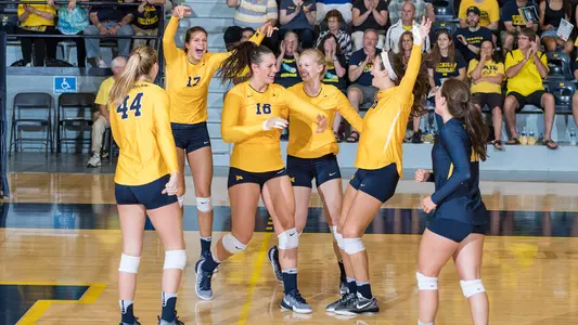 Volleyball Celebration