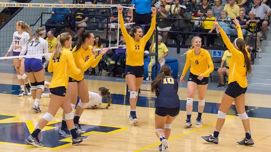 Volleyball Celebration