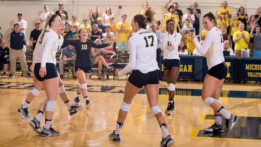 Volleyball Celebration