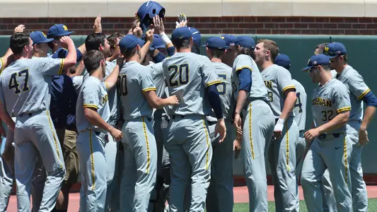 Baseball celebration