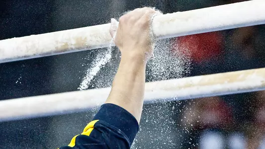 Men's Gymnastics generic