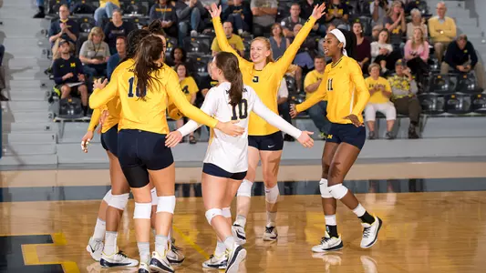 Volleyball celebrates