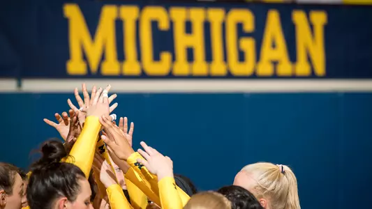 Volleyball celebration